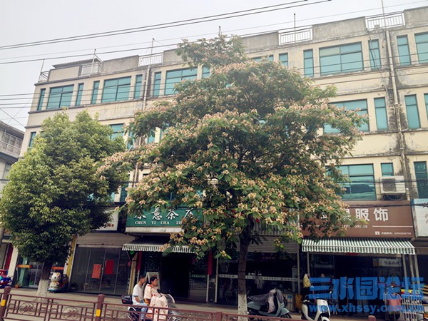 微信图片_20250611110153.jpg