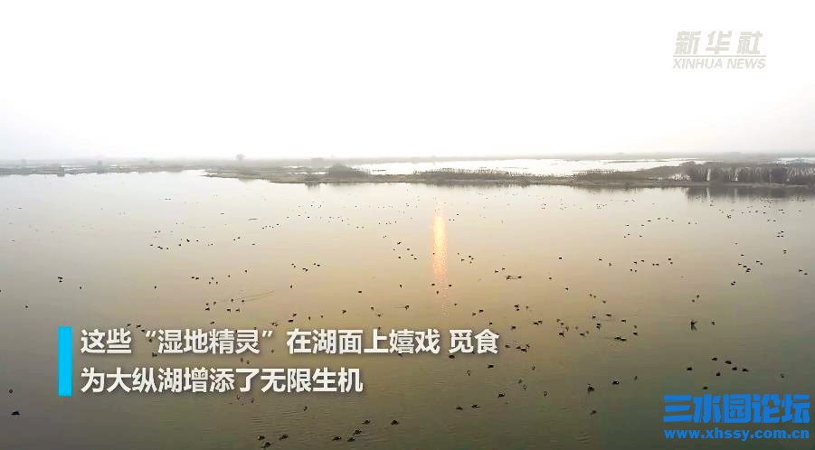 QQ浏览器截图20220112143708.jpg