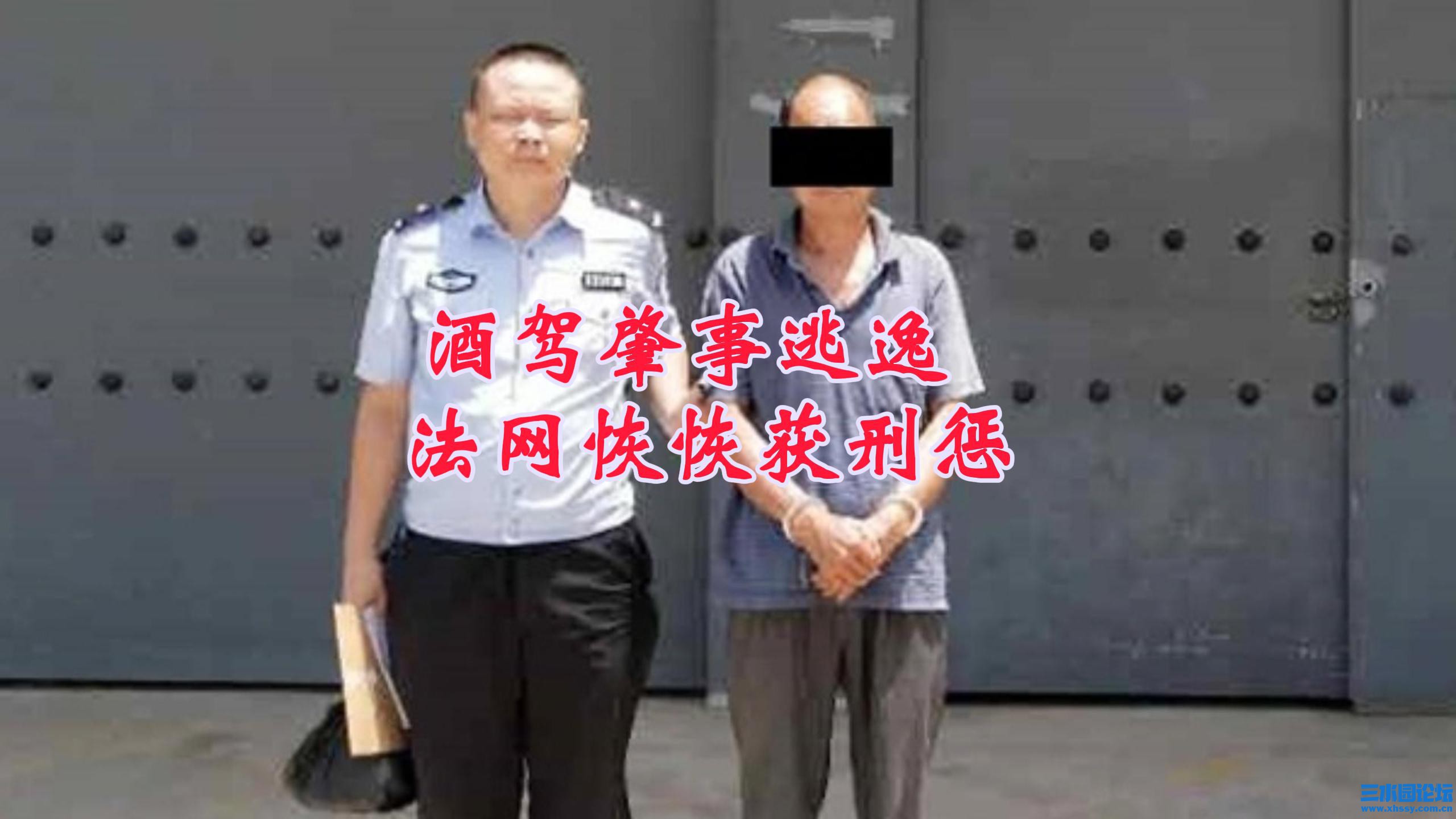 酒驾肇事逃逸  法网恢恢获刑惩-封面.jpg