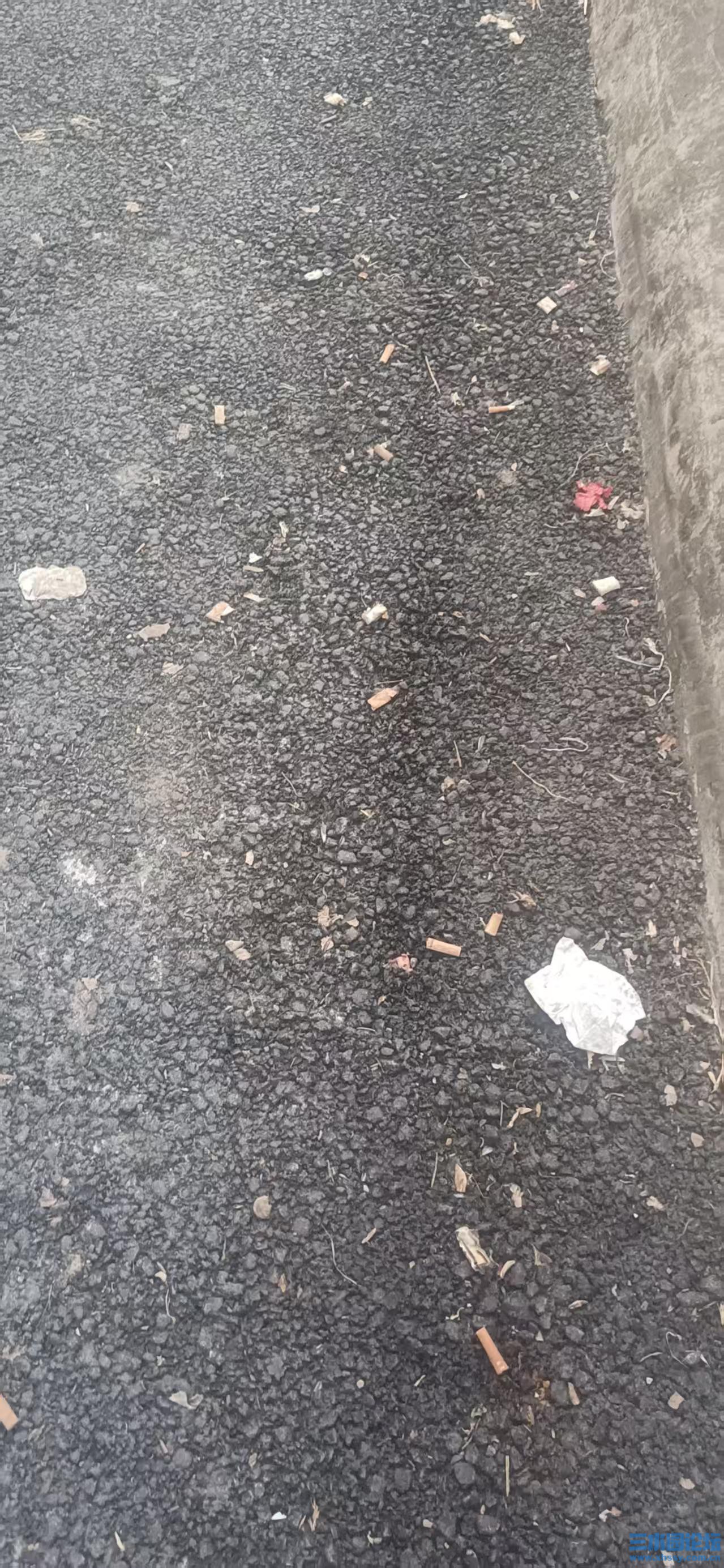 楚水杂谈_20250407_181230.jpg