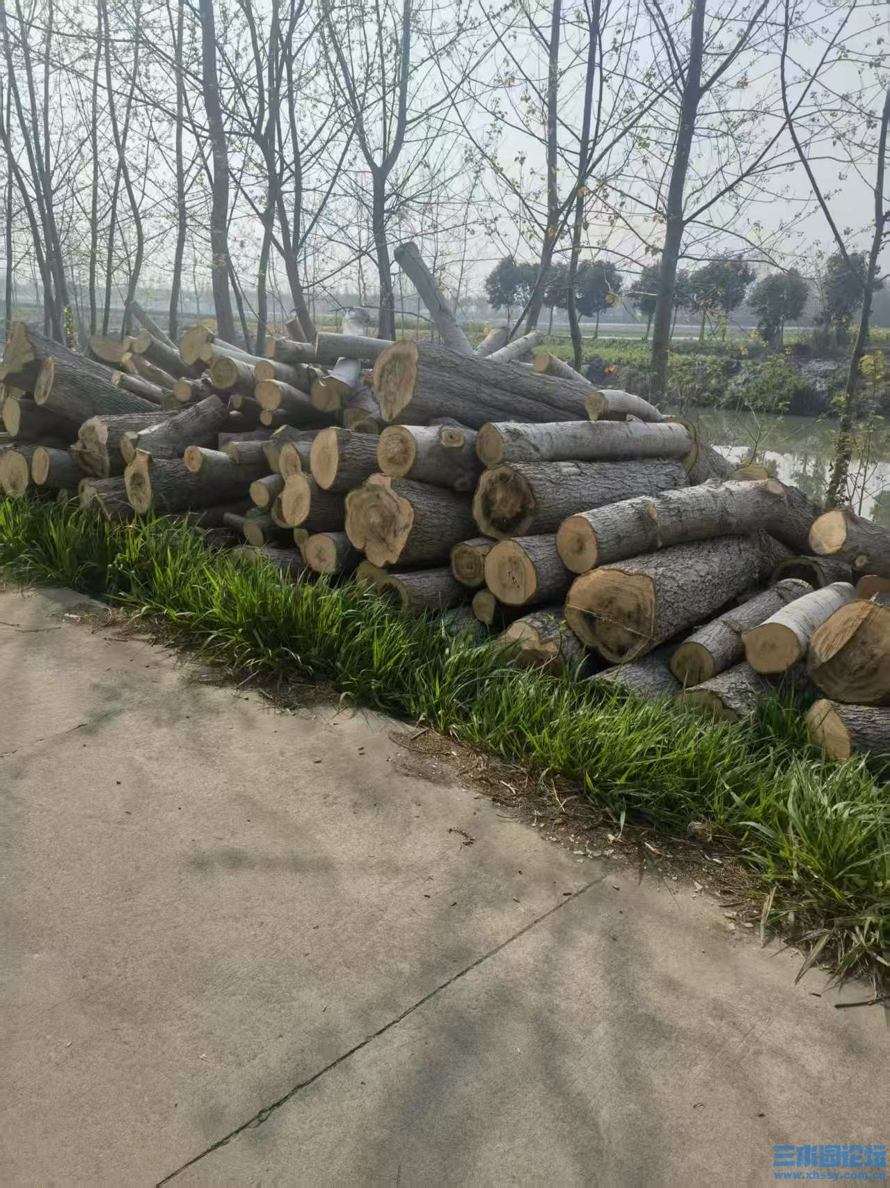 微信图片_20250419211254.jpg