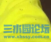 IMG_3583.png