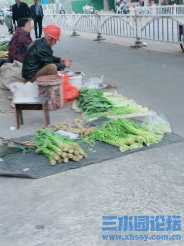 IMG20250422075317.jpg