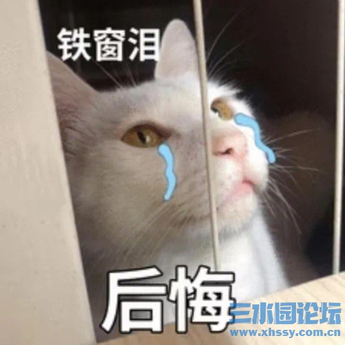IMG_4195.jpeg