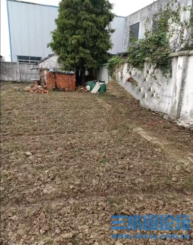 mmexport1748685281084.jpg
