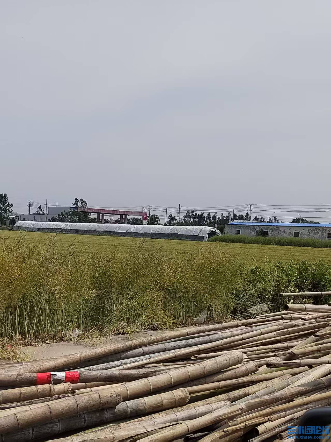 微信图片_20250603215701.jpg