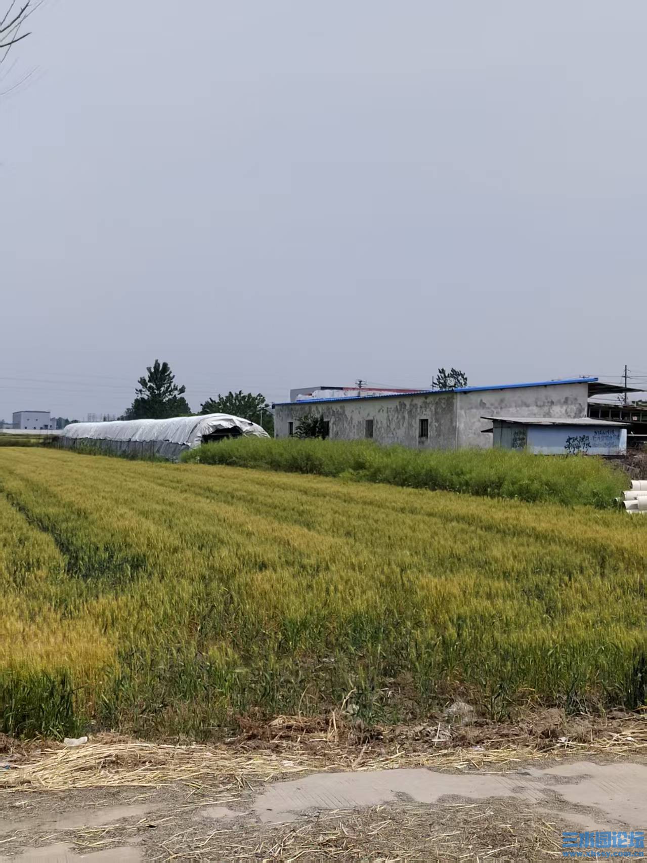 微信图片_20250603215714.jpg