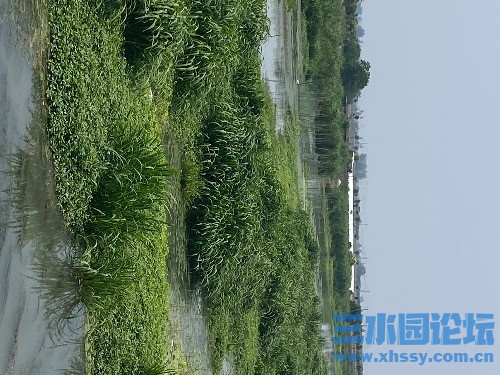 0A7D7493-4129-4394-9D00-D514CAD7AAC4.jpeg