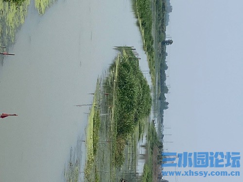 1CBCE122-735C-4E8A-997A-58AB703C29C1.jpeg