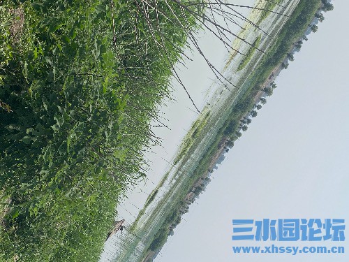 3CFD47FD-9D4E-4D3A-ACBB-3A9422E72CA2.jpeg