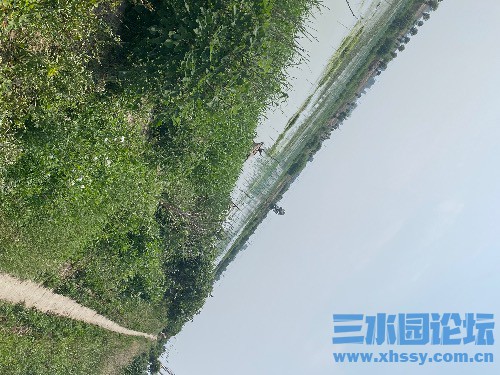 5810B972-047B-4A28-AC1B-875F33791CC8.jpeg
