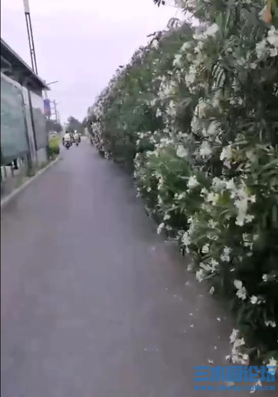 360截图20250609161837183.jpg