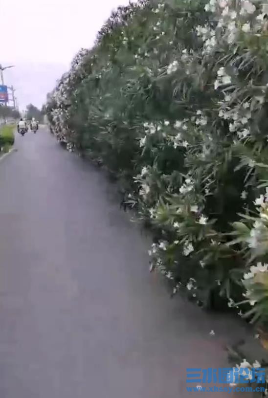 360截图20250609161925758.jpg