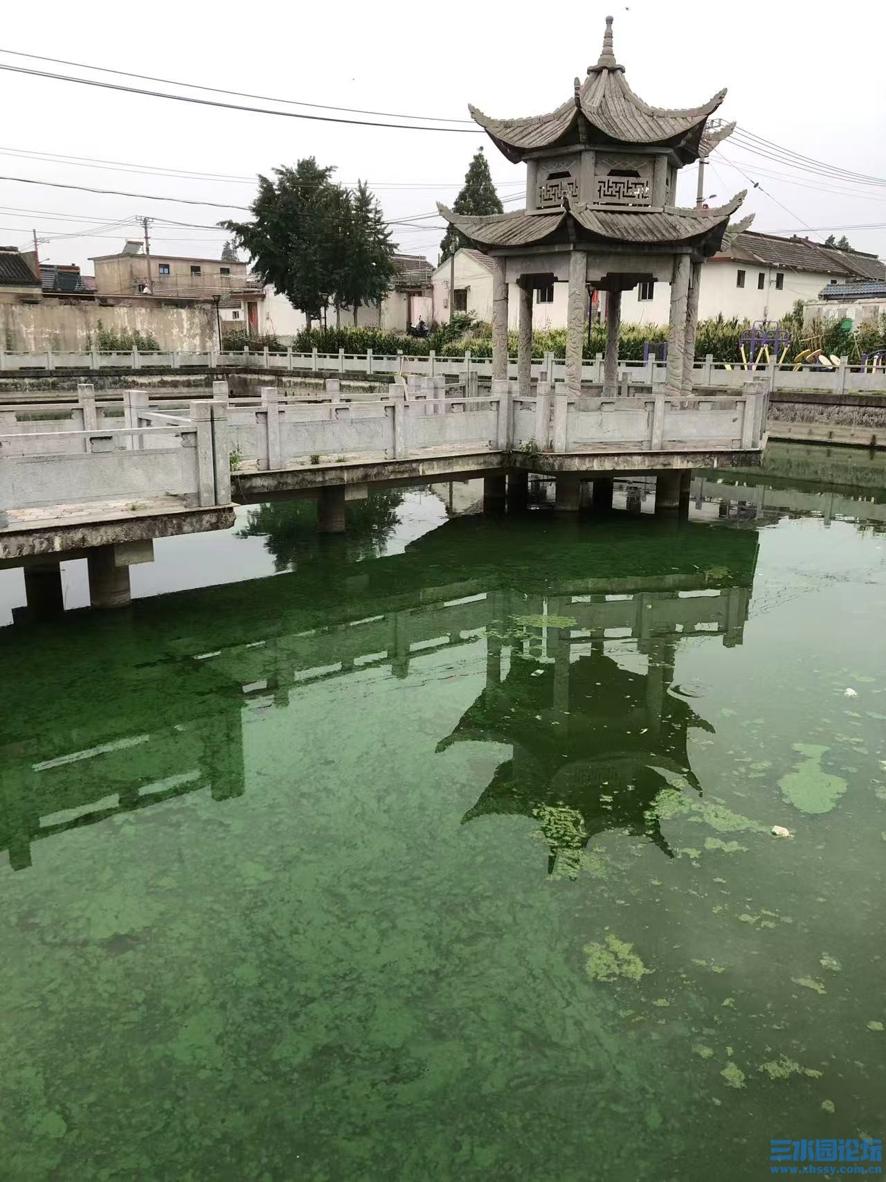 微信图片_20250610091340.jpg