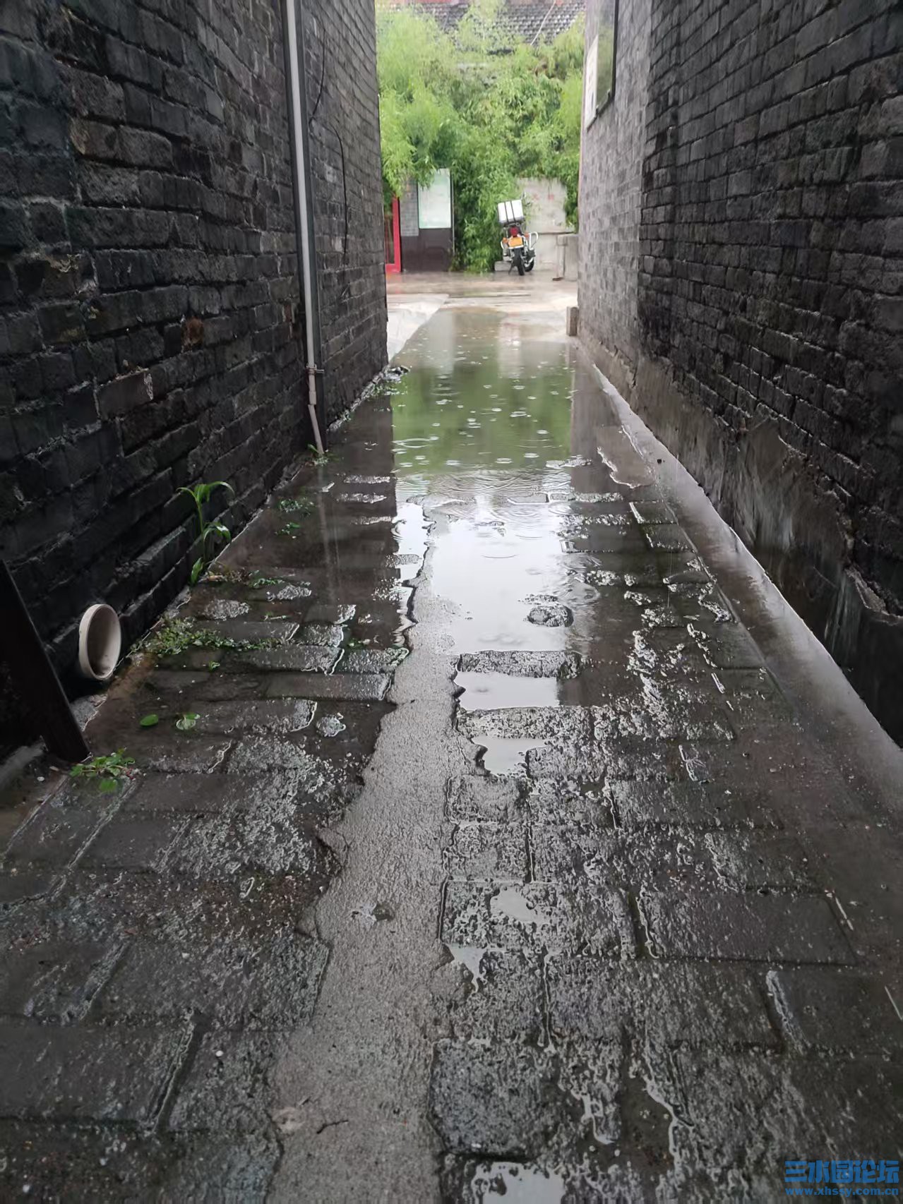 微信图片_20250620120857.jpg