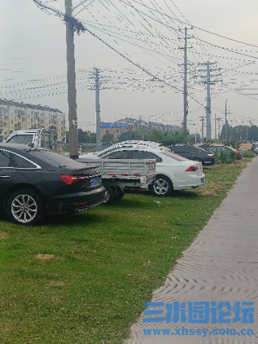 IMG20250906164115.jpg