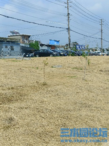 IMG20250907135241.jpg