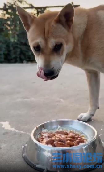 360截图20250914080912326.jpg