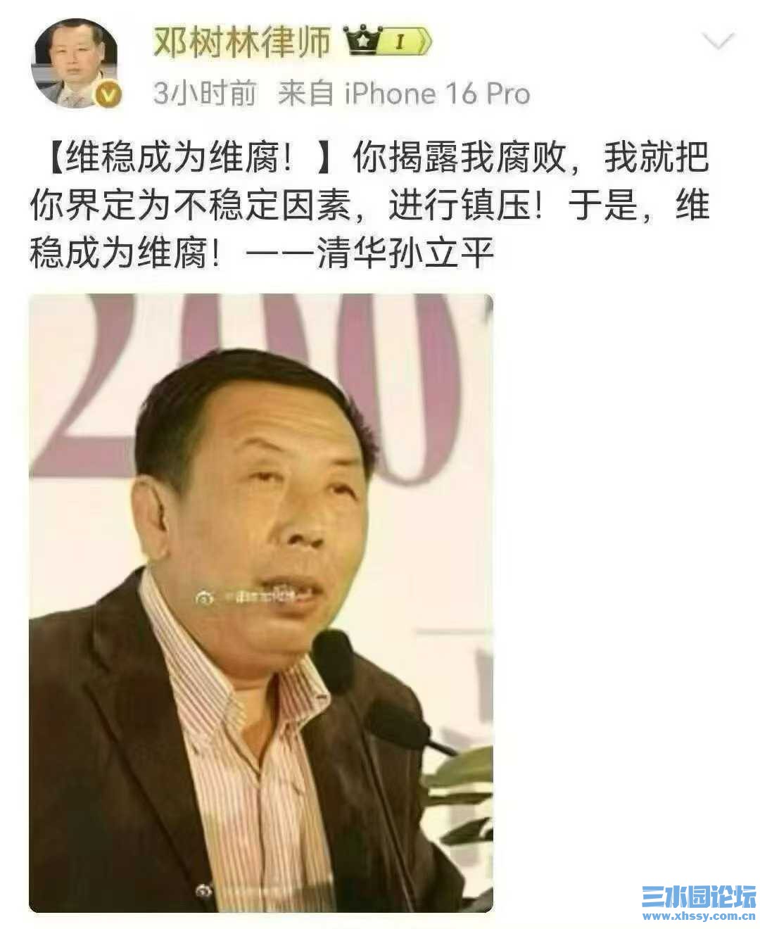 维腐——孙立平.jpg