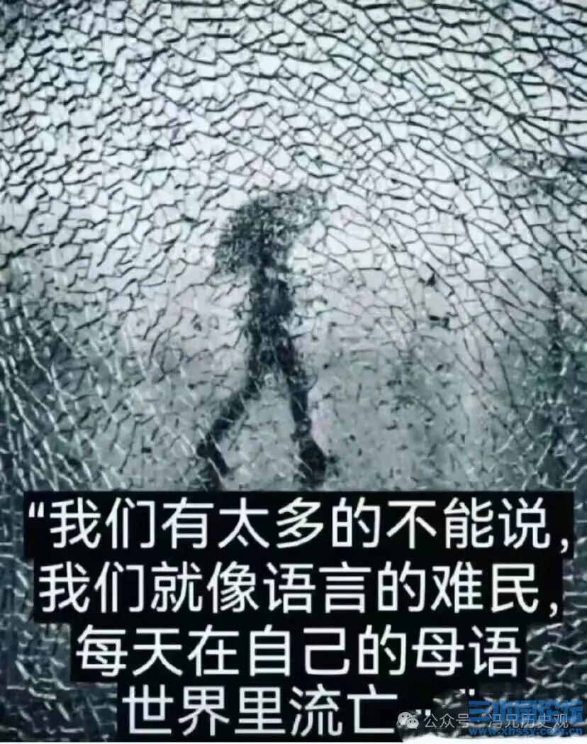 语言难民.jpg
