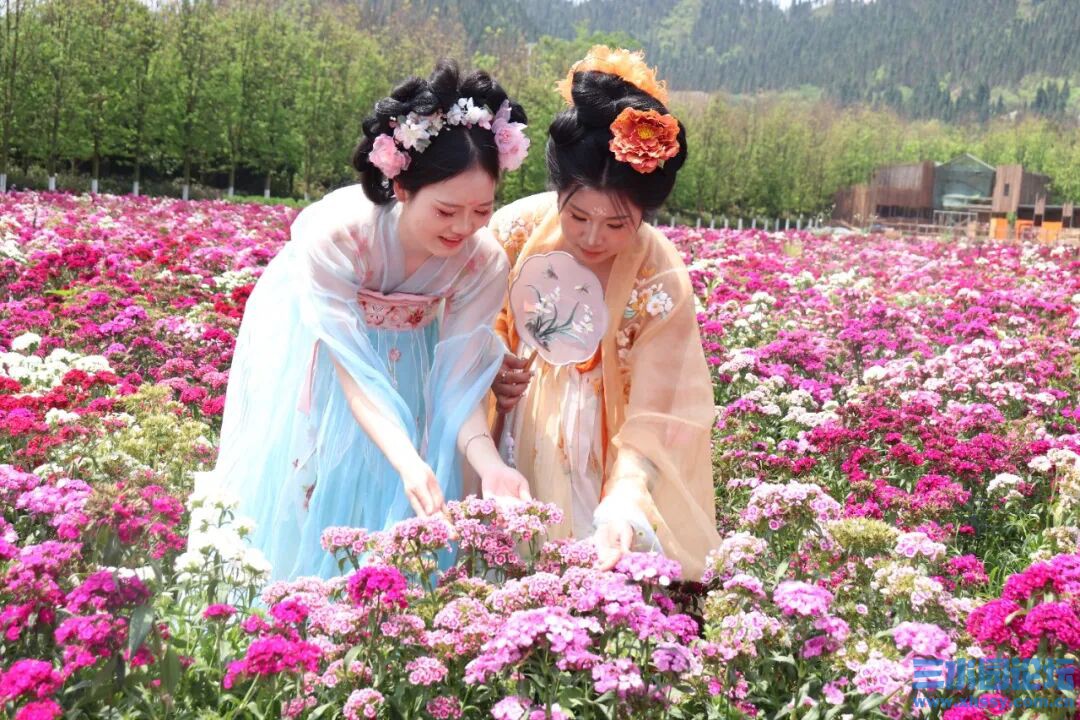 丽人行3.jpg