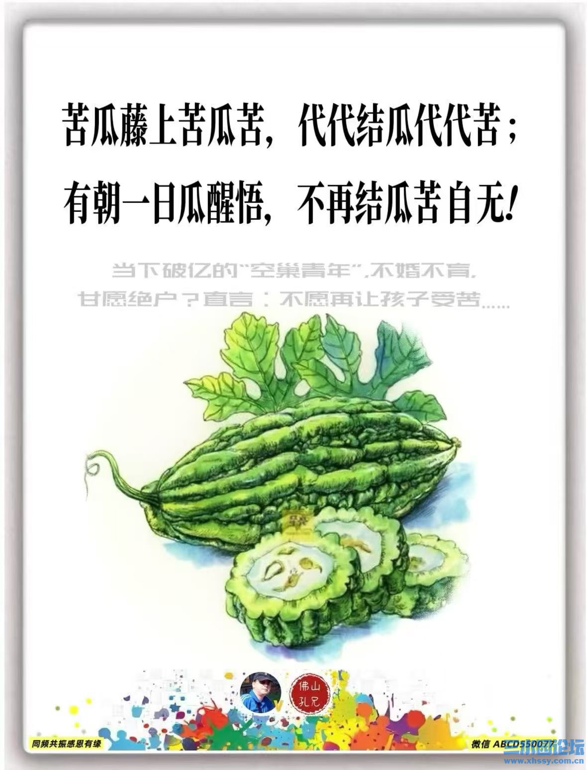苦瓜.jpg